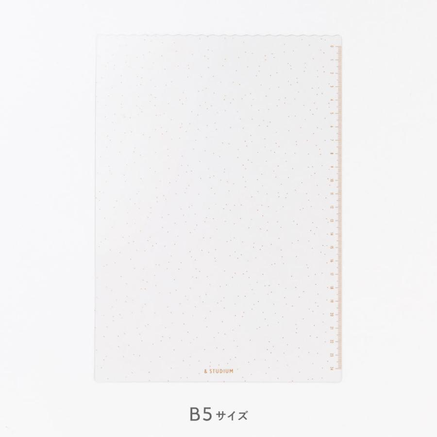 Switch B5 下敷き Switch Stationery Study Studium ステーショナリー スタディプランナー 文房具 雑貨 勉強 受験 学生 高校生 Gsub いろはショップオンライン 通販 Yahoo ショッピング