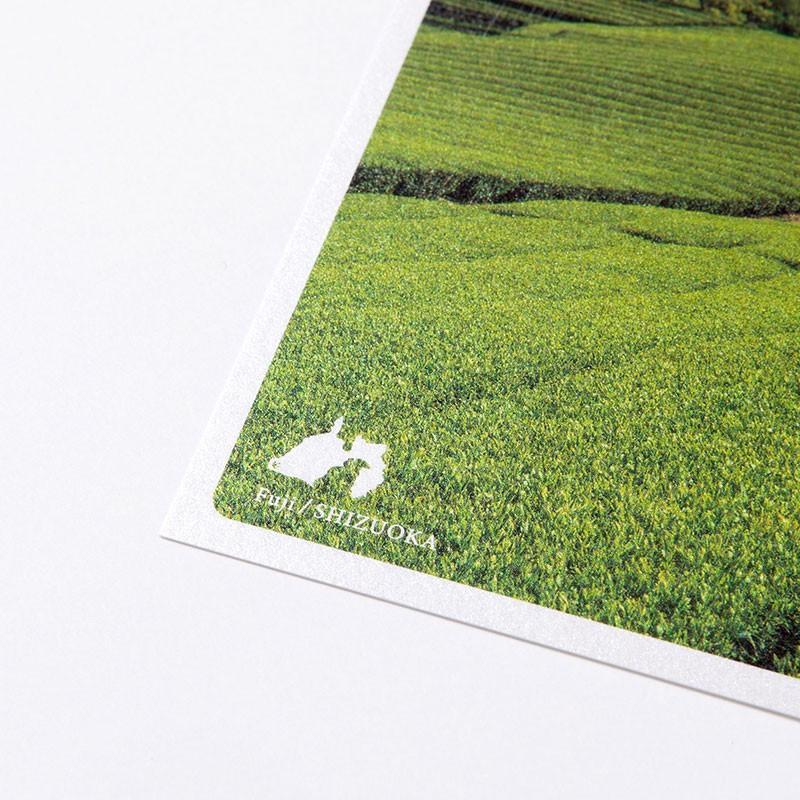 日本の絶景ポストカード 夏 今宮の茶畑 静岡県 いろはショップオンライン 通販 Yahoo ショッピング