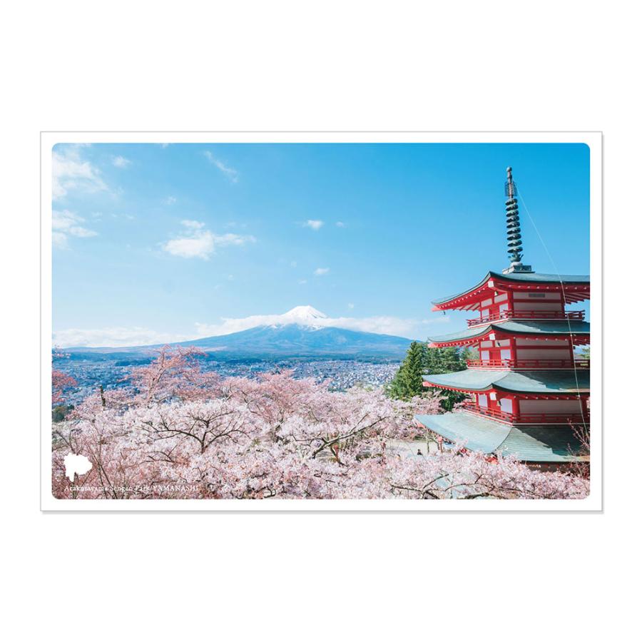 日本の絶景ポストカード 〜春〜 春の新倉山浅間公園/山梨 パスポル 旅