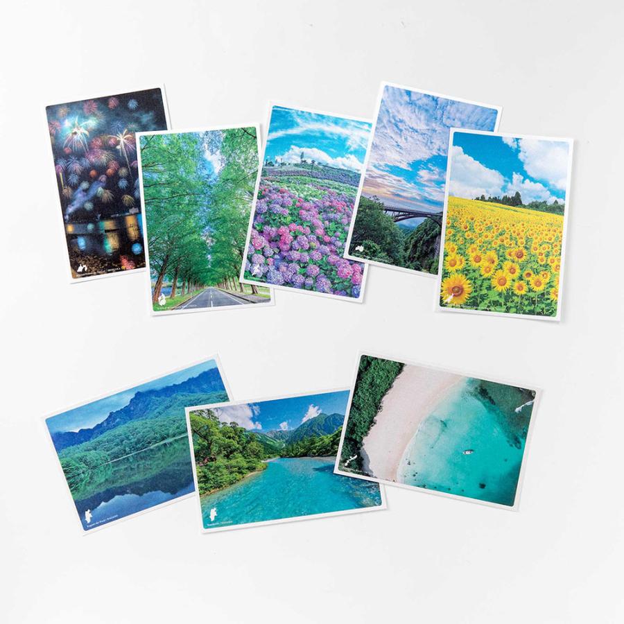 【10/9限定値下げ】ツルネ カラ鉄 ポストカード コースター 竹早 静弥 Amazon.co.jp: ツルネ 特典 コースター 竹早静弥 鳴宮湊