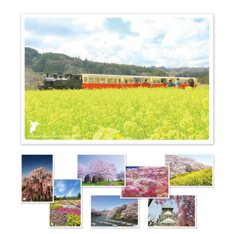 19日本の絶景ポストカード 春 8枚セット メール便対応商品 Jpc 19 Spring いろはショップオンライン 通販 Yahoo ショッピング