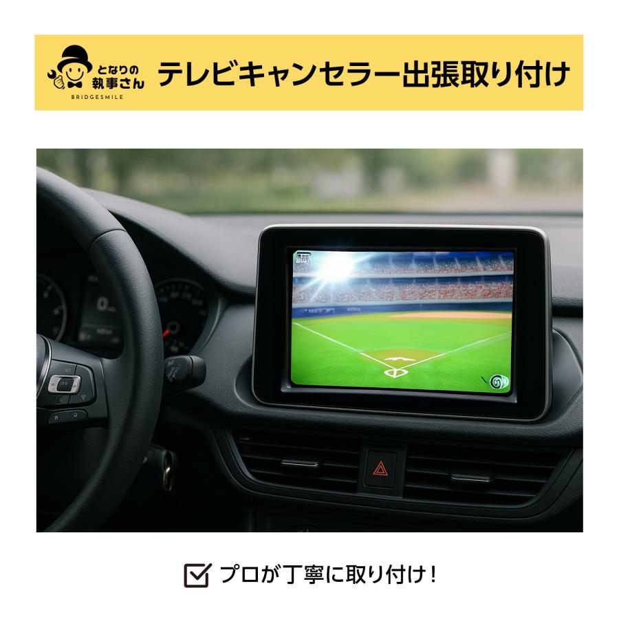 【国産車】テレビキャンセラー取り付け | 
