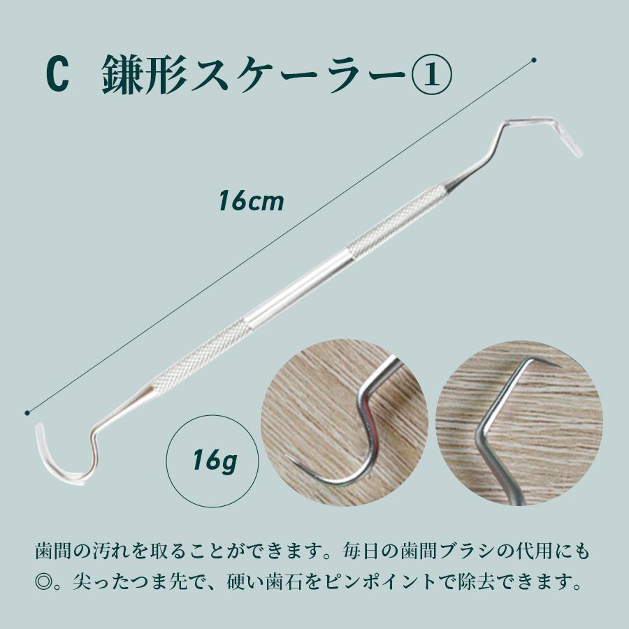 歯垢取り 歯石取り 器具 歯医者 除去 自分で 犬 猫 スケーラー 自宅用 ステンレス 先極細 デンタルツール Z2109sisekitori Tone Shop 通販 Yahoo ショッピング