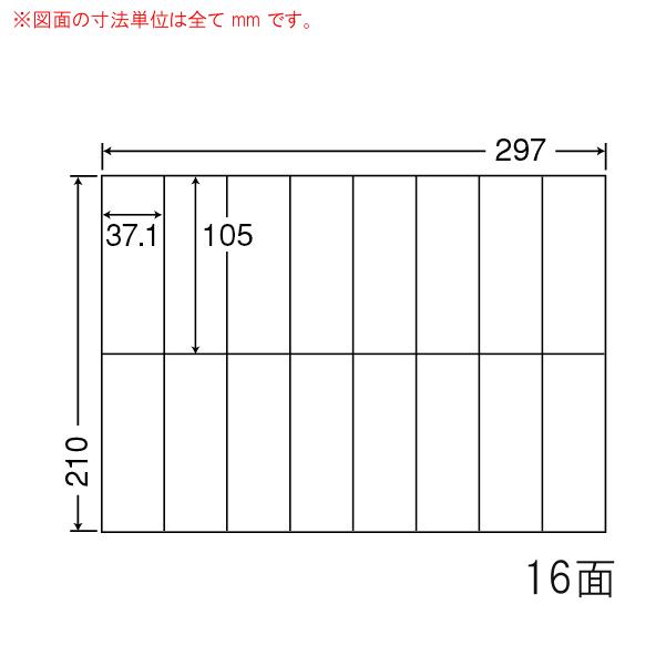  【MSO014LZVK1】 限定デザイン