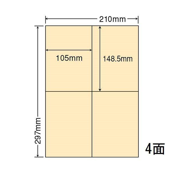 CL-50Y イエロー A4サイズカラーラベル 500シート マルチタイプ 管理ラベル 東洋印刷