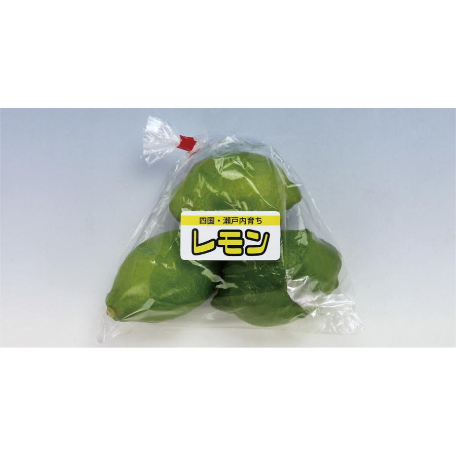 （まとめ買い）SCL-78 カラーレーザープリンタ用耐水光沢紙ラベル 6ケース 2400シート 東洋印刷_1