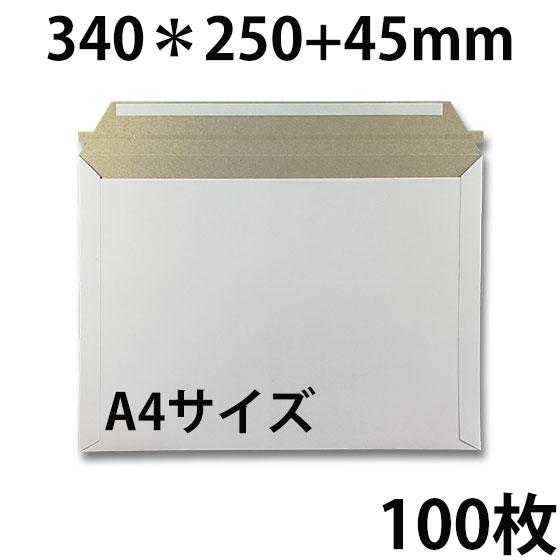 ビジネスレターケース A4サイズ 100枚 EMS-A4 | ビジネス 郵便 郵送用