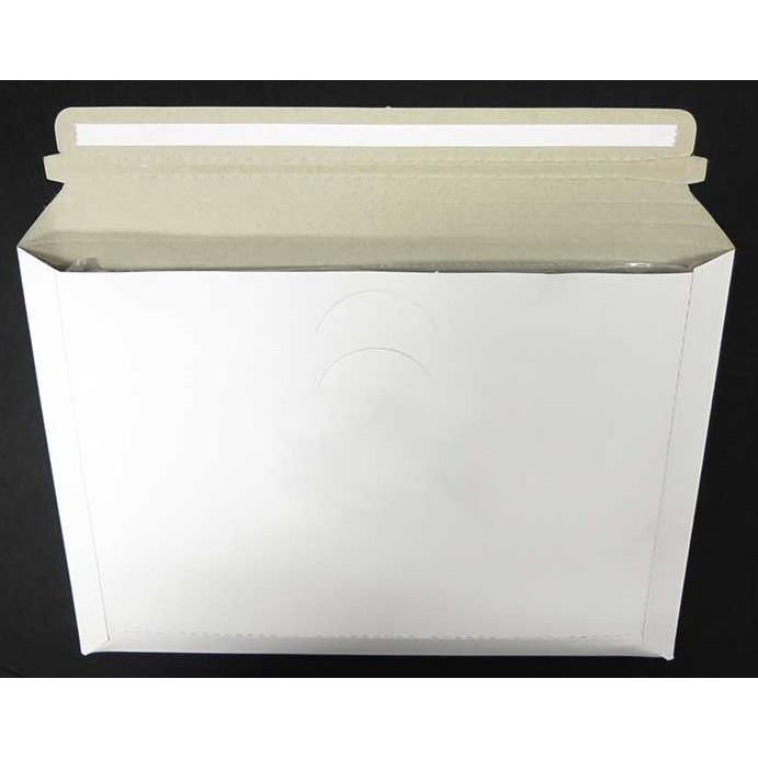 ビジネスレターケース A4サイズ マチ付きタイプ 300枚 EMS-BOX-A4