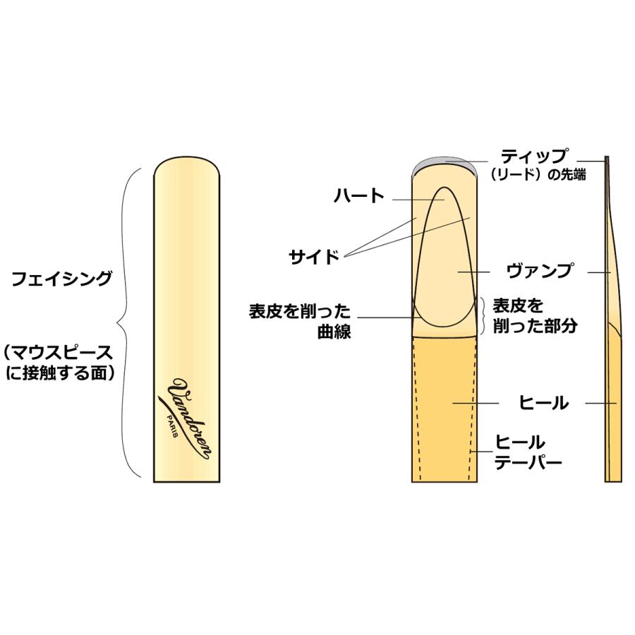 バリトン サックス リード バンドレン トラディショナル 青箱 Vandoren｜tonicgakki｜03