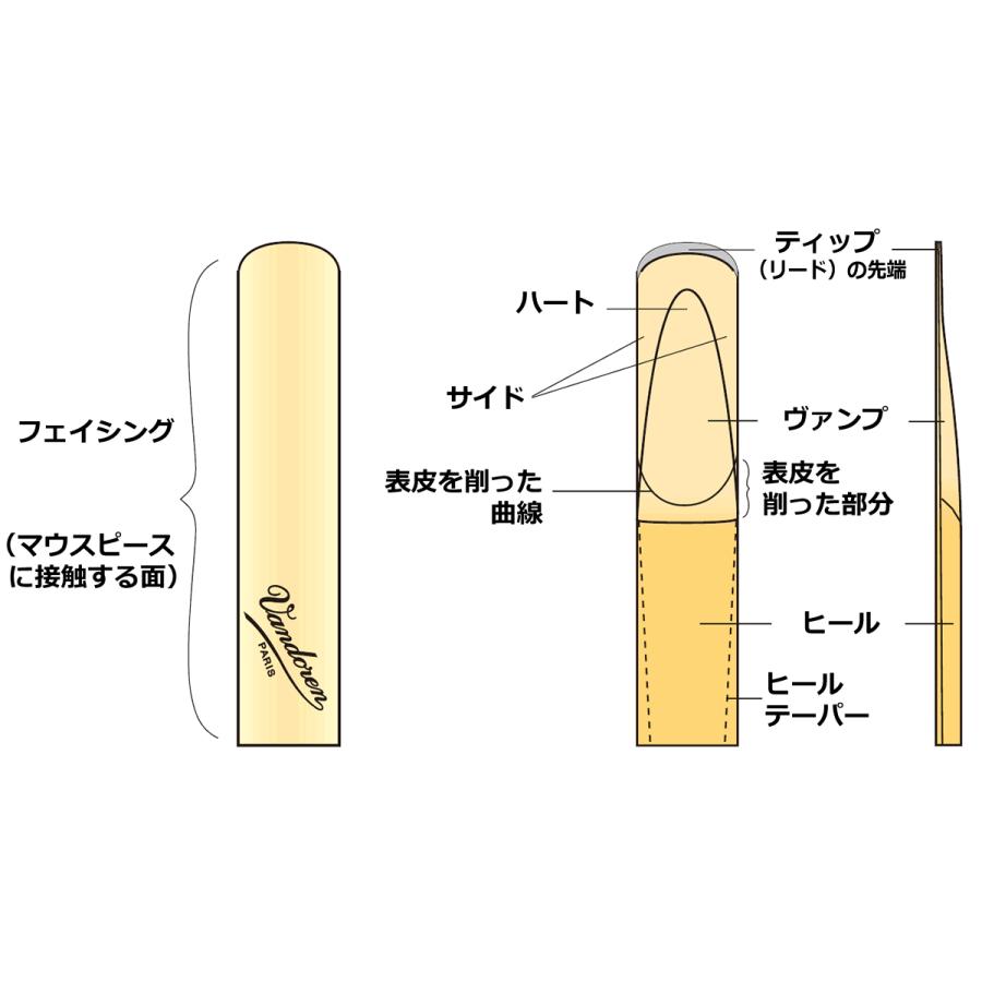 vandoren（バンドーレン） ソプラノ サックス リード バンドレン