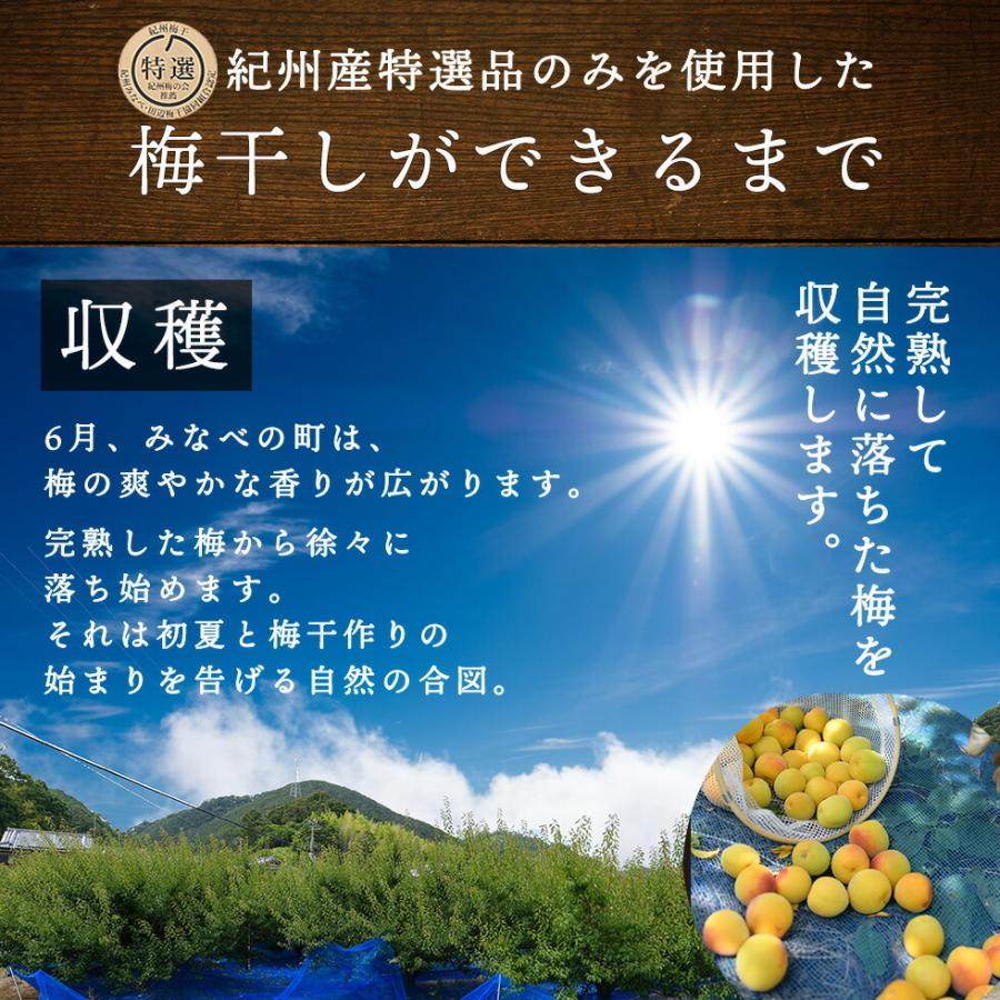 梅干し はちみつ 塩分 3% 減塩 南高梅 特選 みつふる 500g 岩惣｜tonohata｜07