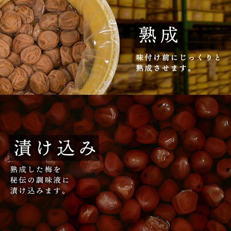 梅干し 減塩梅干し 塩分3% 南高梅 特選 さらり 500g 岩惣｜tonohata｜09