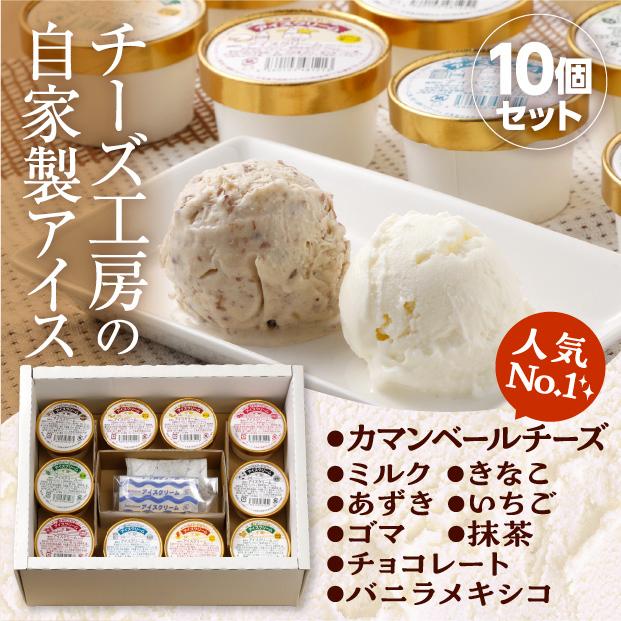 カップアイス10個セット 北海道産 絶品スイーツ お取り寄せ/ 十勝野