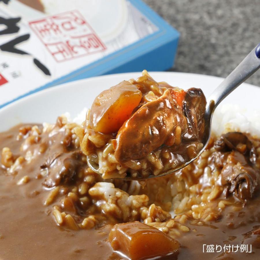 かきカレー＆スープカレーセット 高島食品／北海道厚岸町 ご当地レトルトカレー 厚岸産新鮮牡蠣たっぷり カキ｜tonxton-market｜03