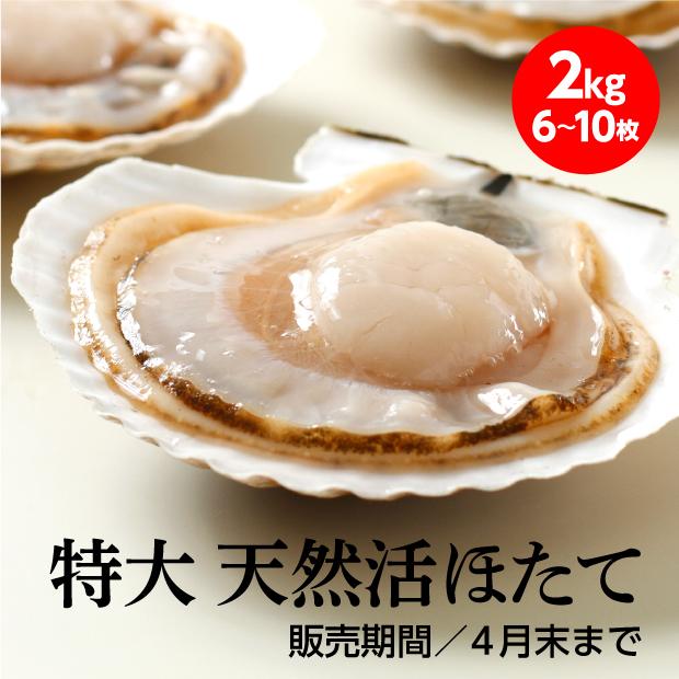 野付産 天然ジャンボ活ほたて 2kg 北翔丸水産／北海道別海町 帆立貝柱