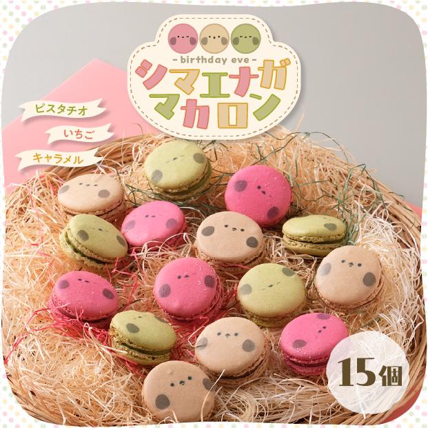 アニマルマカロン♡シマエナガ&ぶた シマエナガのマカロン 3種15個 / バースデーイヴ 札幌市 洋菓子 : 食べ