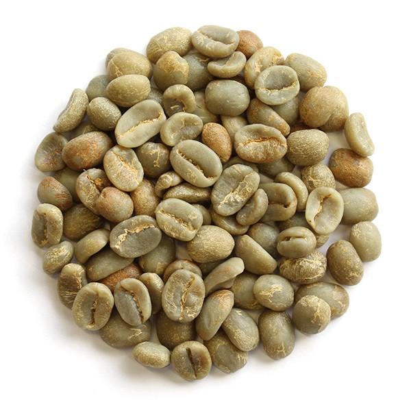 限定品 コスタリカ ラ メサ（生豆時100g） : FRESH ROASTER珈琲問屋