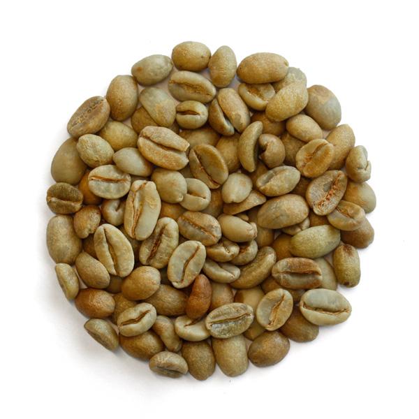 限定品 エチオピア カッファG3 ゲイシャ ナチュラル （生豆時500g