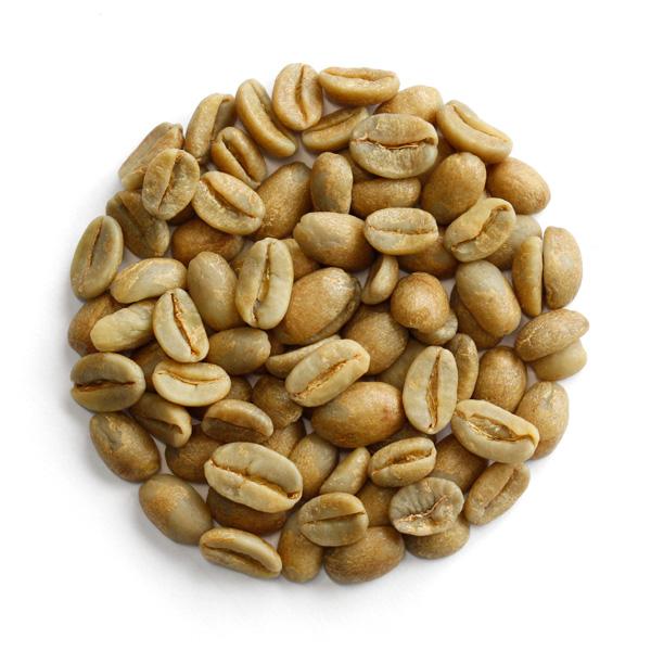 限定品 COE2025 ペルー ラ フロリダ農園（生豆時500g） : FRESH