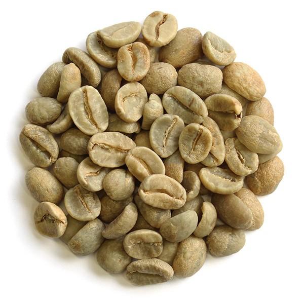 キリマンジャロAA（生豆時100g） : FRESH ROASTER珈琲問屋 Yahoo!店