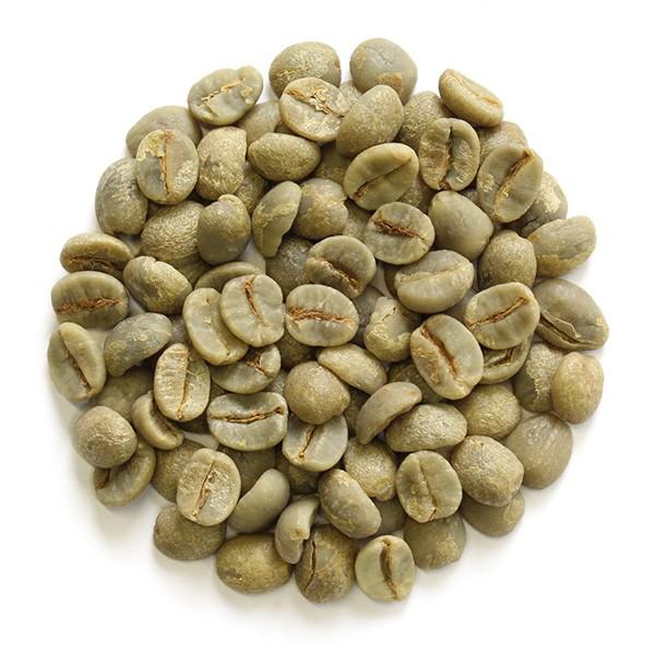 豆豆　確認 高田種苗オンライン / 大手亡豆 R2年産 1kg