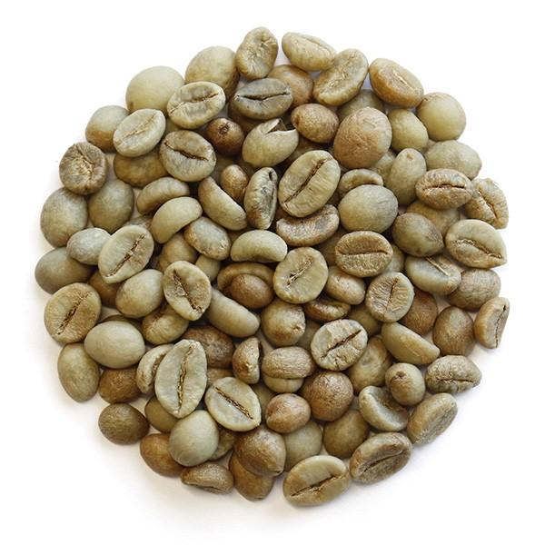 コーヒー生豆/インド/メルティーマウンテン/ロブスタハニー5kg 生豆限定】 インド メルティーマウンテン ロブスタハニー （生豆1kg