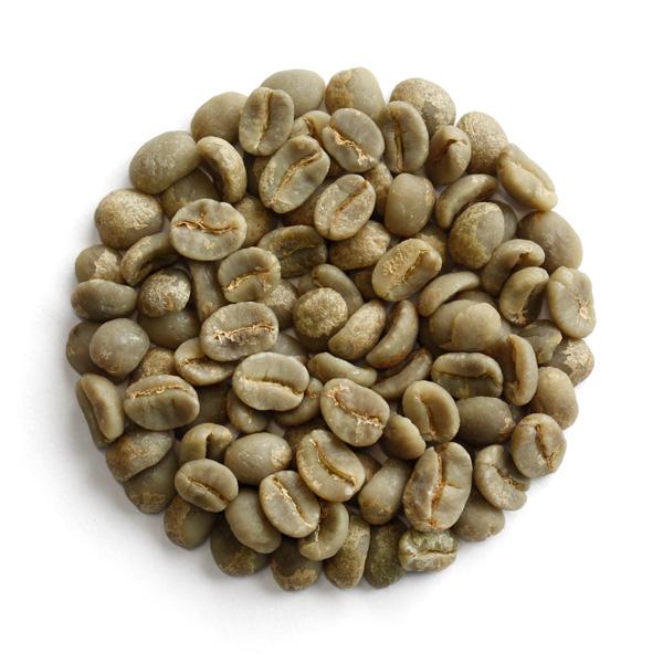 生豆限定】 ブラジルCOE2024 W&H モエテ農園（真空1kgパック