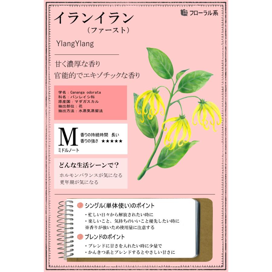 イランイラン 精油 オイル 10ml エッセンシャルオイル アロマ / 香水 お香 効能 香り スプレー に | 香りと暮らす | 02