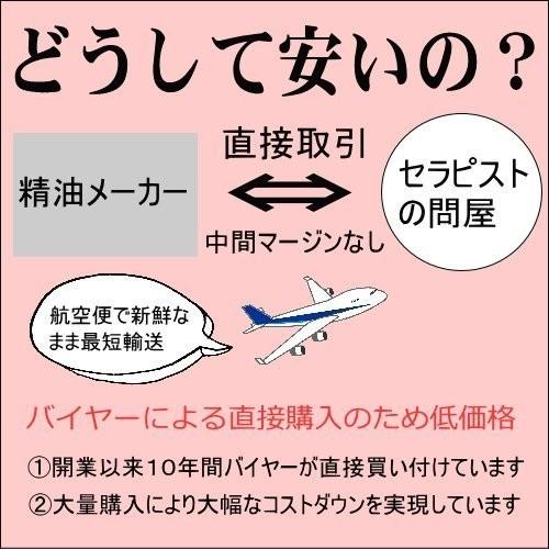 香りと暮らす 【お1人様1本まで】 フランキンセンス 精油 オイル 野生