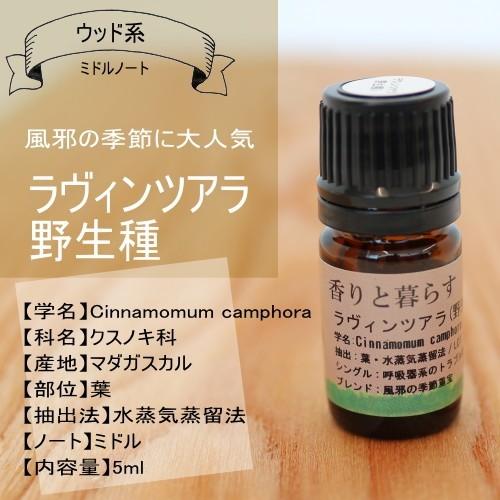 ラヴィンサラ シネオール ラヴィンツァラ 野生種 5ml アロマ アロマオイル エッセンシャルオイル 精油 E050 セラピストの問屋 通販 Yahoo ショッピング