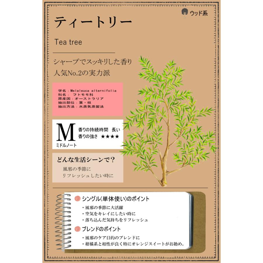 香りと暮らす ティートリー 精油 オイル 50ml ティーツリー