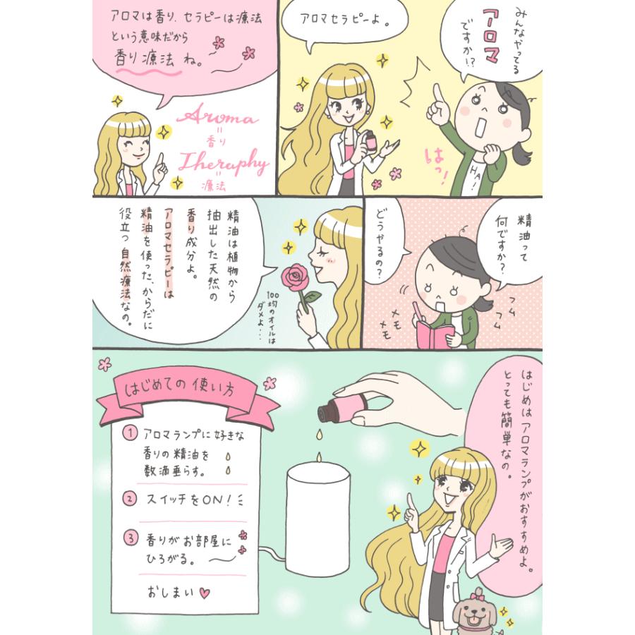 新品未開封のアロマギフトセットで、4種類の香りがあり 燃焼時間は30時間持続 ギフトセット | 銀の山