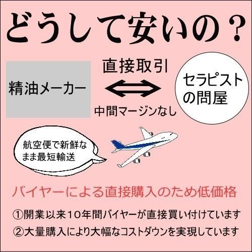 【1本あたり500円！】【当日お1人様2セットまで】　夏すっきり祭り 10種類から4本選べるセット　アロマオイル エッセンシャルオイル 精油｜tonyatonya｜11