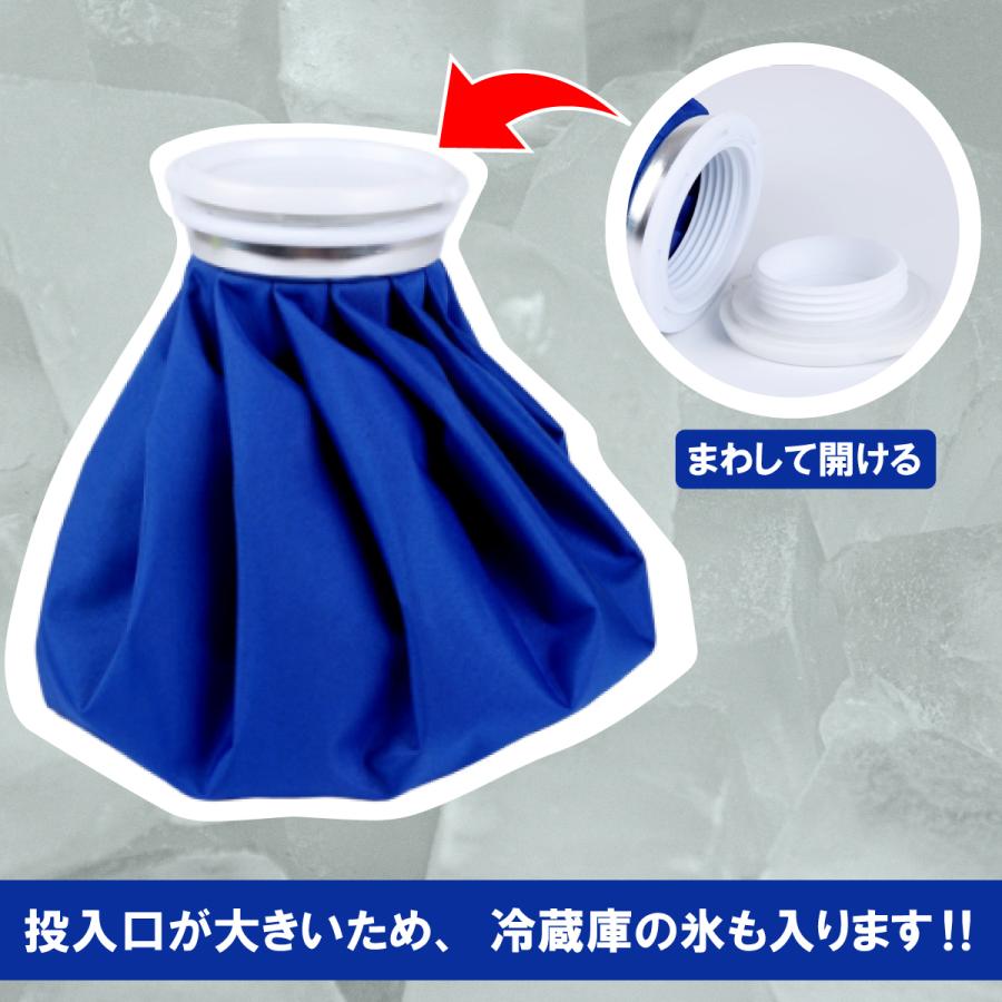 氷嚢 スポーツ ゴルフ 氷のう アイシングバッグ 2個セット アイス