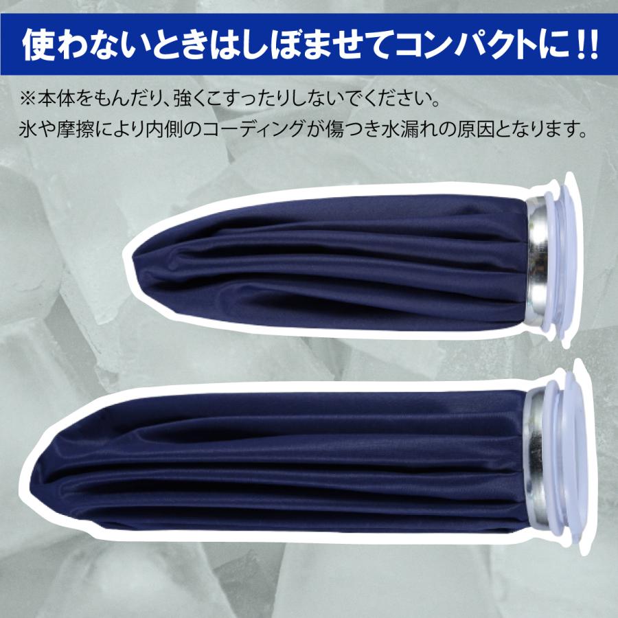 氷嚢 スポーツ ゴルフ 氷のう アイシングバッグ 2個セット アイス