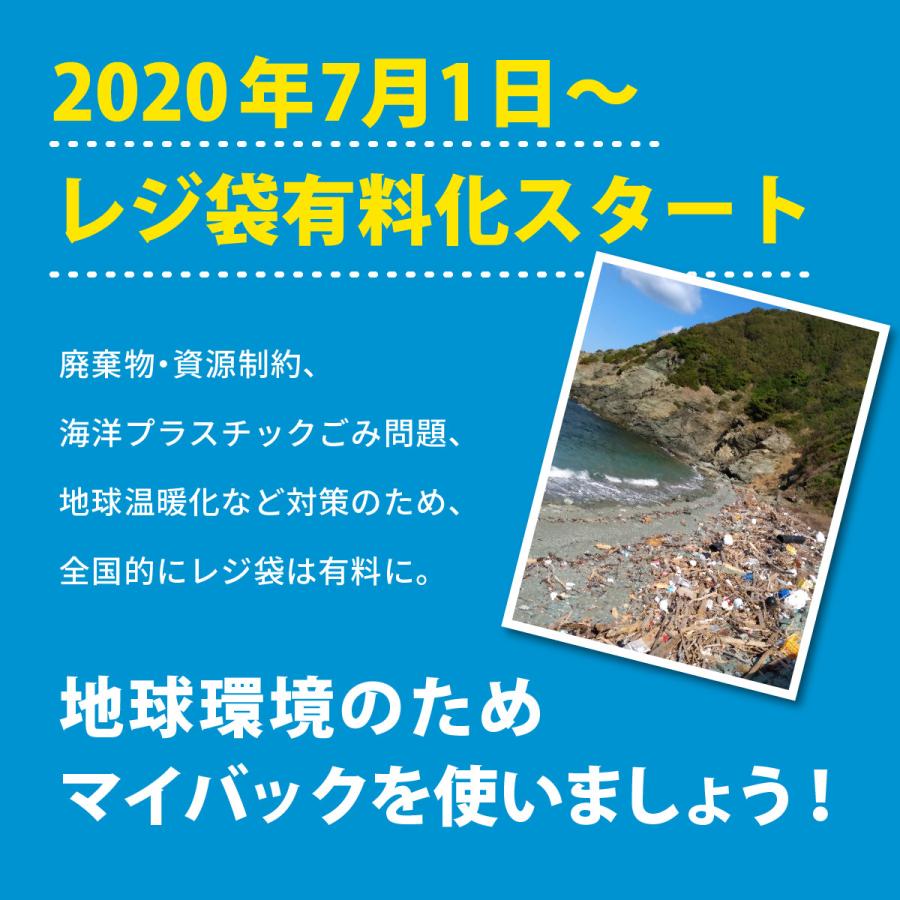 エコバッグ マチ付き おしゃれ マイバッグ トートバッグ コンパクト マチ広 折りたたみ 大容量 レジカゴバッグ 軽量 収納 メンズ レディース かわいい | ブランド登録なし | 07