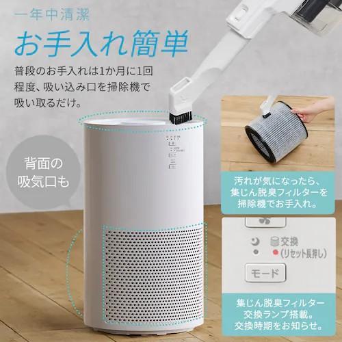 IRIS OHYAMA（アイリスオーヤマ） アイリス AAP-SH30B-H グレー