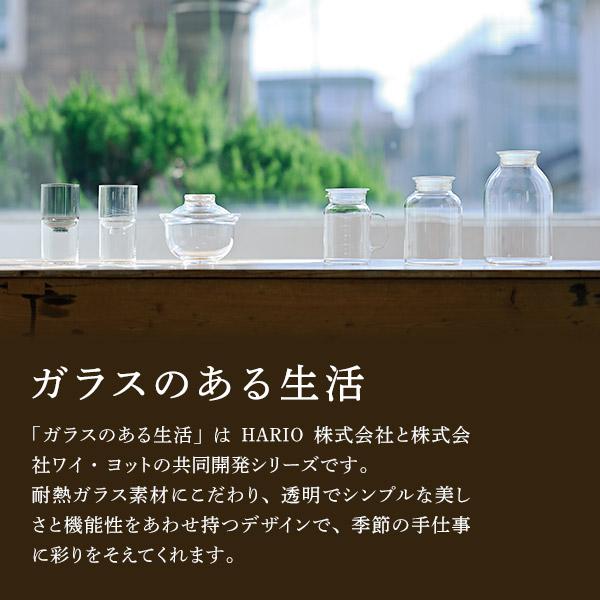 HARIO（ハリオ） ガラスのある生活 ガラスの丼鉢 クリア GXD-600 hario