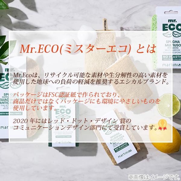 マティーニスパ ミスターエコ セルロース スポンジクロス（3枚セット