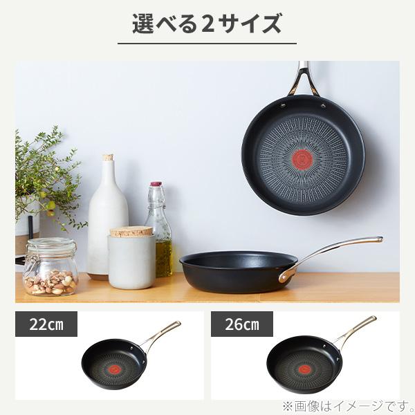 T-fal T-FAL ティファール エクスペリエンス＋ フライパン22cm