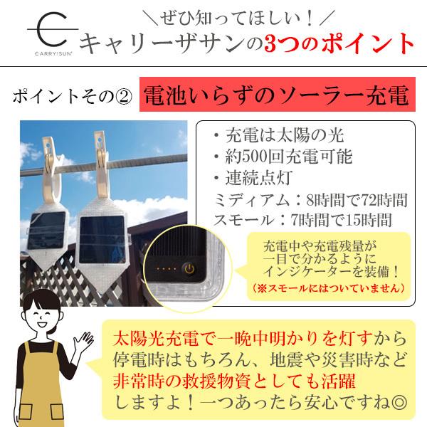 ソーラー式エコライト クールブライト スモール キャリーザサン CARRY THE SUN 進化したソーラーパフ solar puff ランドポート Landport 防災グッズ 防災用品 △｜toolandmeal｜04