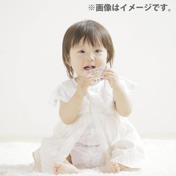 HAMICO ハミコ ベビーハブラシ PLAY LAND アミューズメント パーク