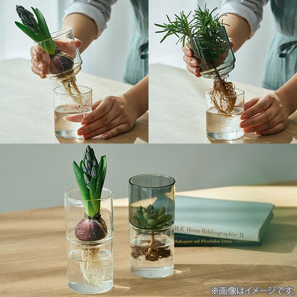 HARIO ハリオ ガラスのある生活 ガラスの花器 hario 花器 水耕栽培