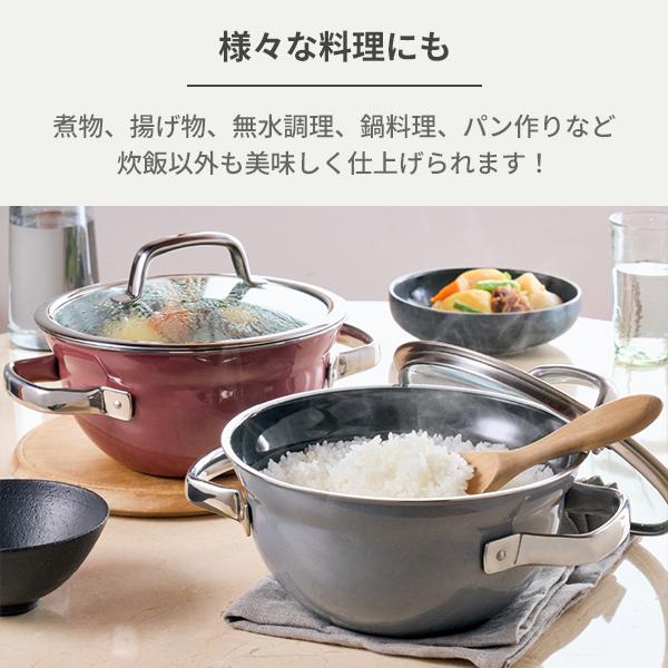 WMF フュージョンテックミネラル ライスポット 20cm IH不可 ご飯 WMF フュージョンテックミネラル ライスポット 20cm IH不可 ご飯