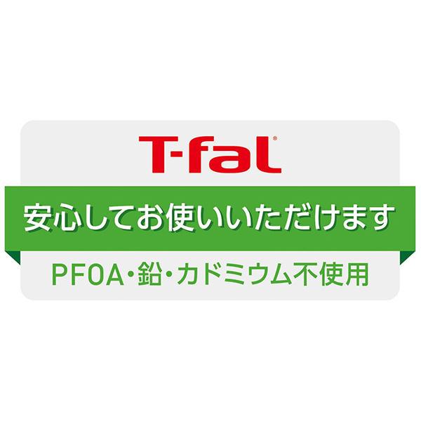 T-FAL ティファール キャストライン エアココット IHココット鍋 20cm セージグリーン・テラコッタ（ガス火・IH対応） 両手鍋 アルミキャスト チタンコーティング | T-fal | 13