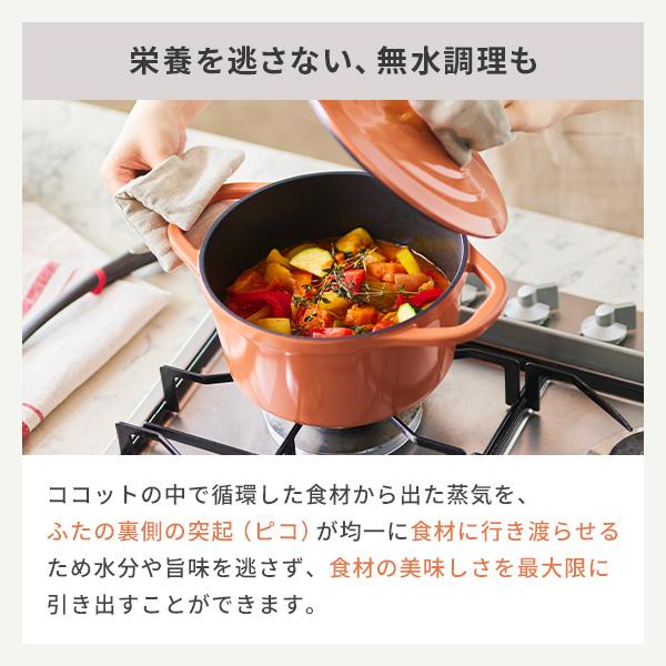 T-FAL ティファール キャストライン エアココット IHココット鍋 20cm セージグリーン・テラコッタ（ガス火・IH対応） 両手鍋 アルミキャスト チタンコーティング | T-fal | 05