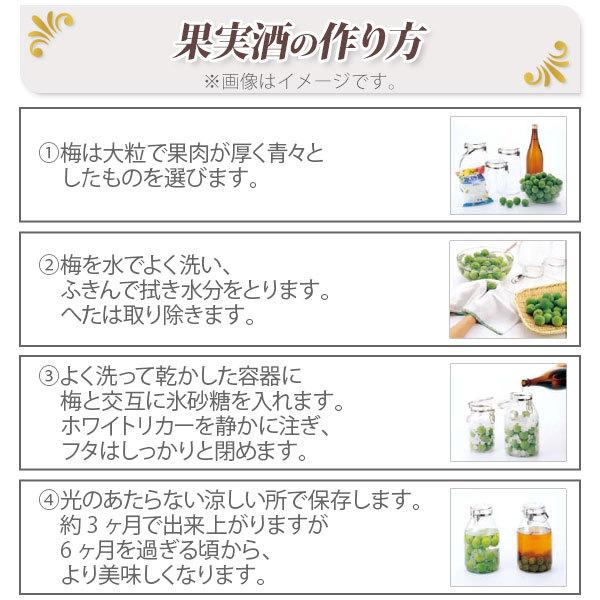 セラーメイト 取手付密封びん 2L 星硝 日本製 梅酒瓶 果実酒瓶 保存容器 調味料入れ梅びん 梅瓶  保存瓶 ガラス｜toolandmeal｜11