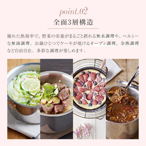 Vita Craft（ビタクラフト） Dear ディア 両手鍋16cm No.3953