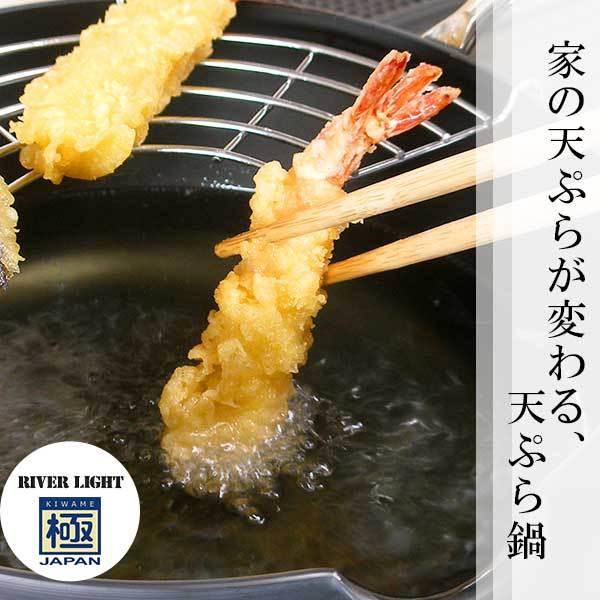 リバーライト 極JAPAN キワメジャパン 天ぷら鍋S 20cm J1320 極ROOTS