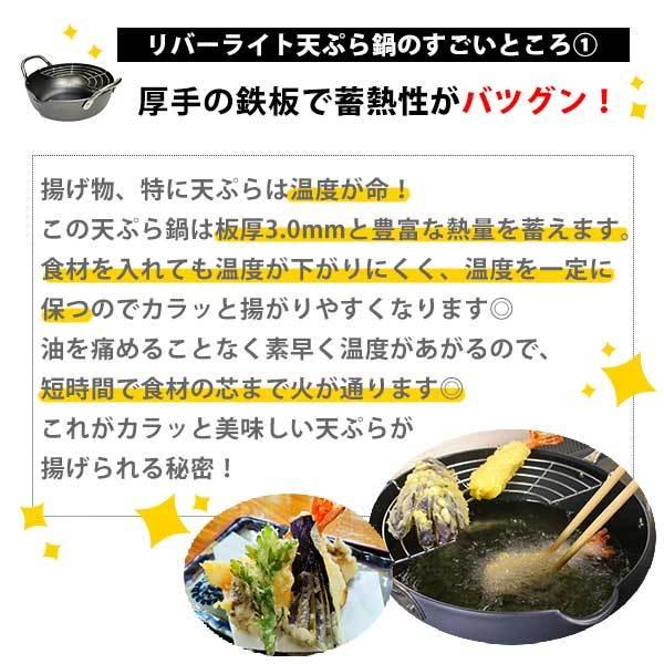リバーライト 極JAPAN キワメジャパン 天ぷら鍋M 24cm （天ぷら用